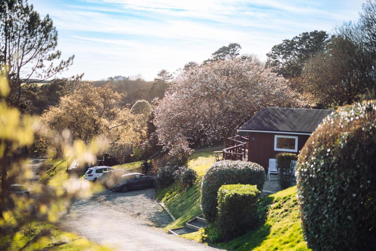 Timber Hill Self Catering Cedar Lodges ブロード・ヘブン エクステリア 写真