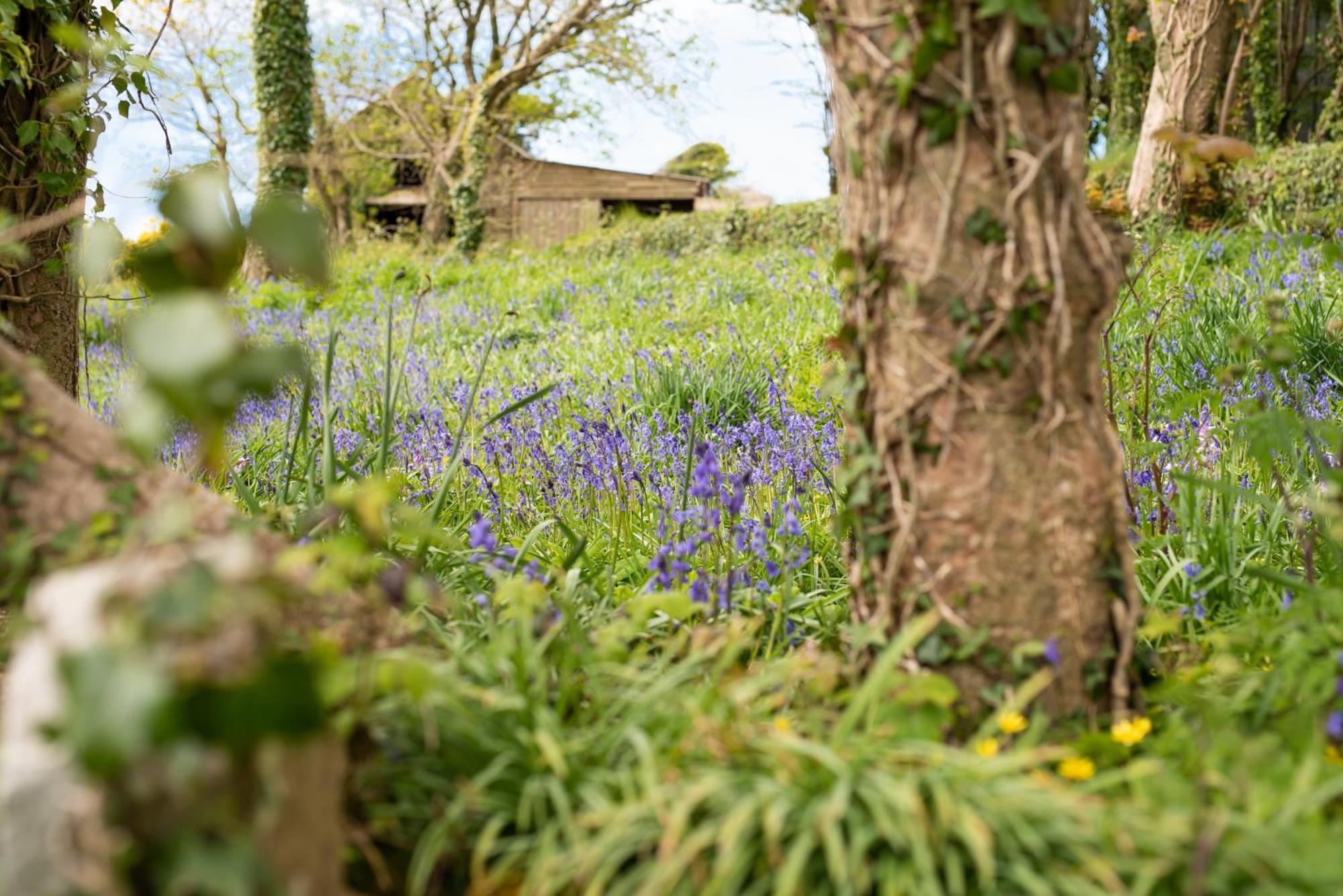 Timber Hill Self Catering Cedar Lodges ブロード・ヘブン エクステリア 写真