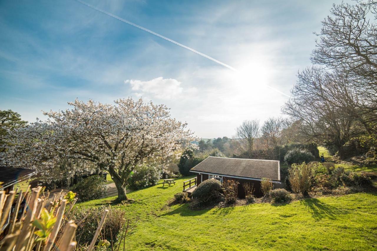 Timber Hill Self Catering Cedar Lodges ブロード・ヘブン エクステリア 写真