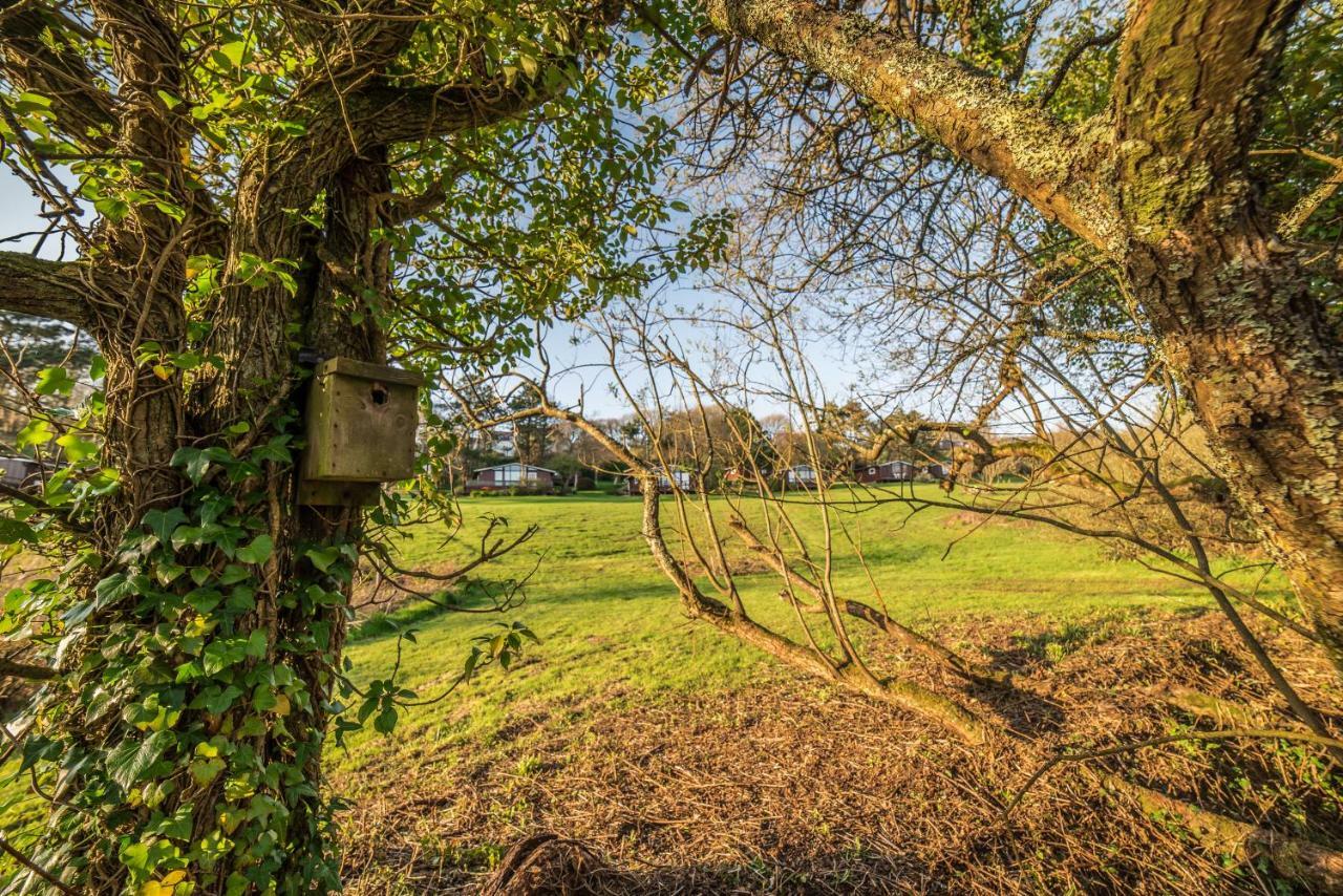 Timber Hill Self Catering Cedar Lodges ブロード・ヘブン エクステリア 写真